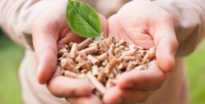 INDÚSTRIA MOVELEIRA USA ENERGIA DA BIOMASSA