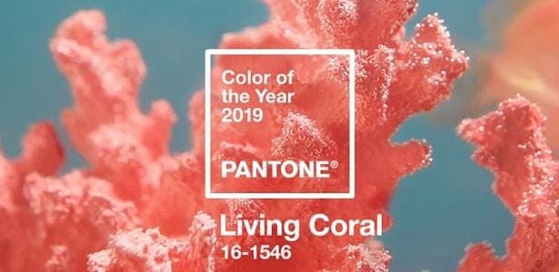 Instituto Pantone anuncia cor de 2019