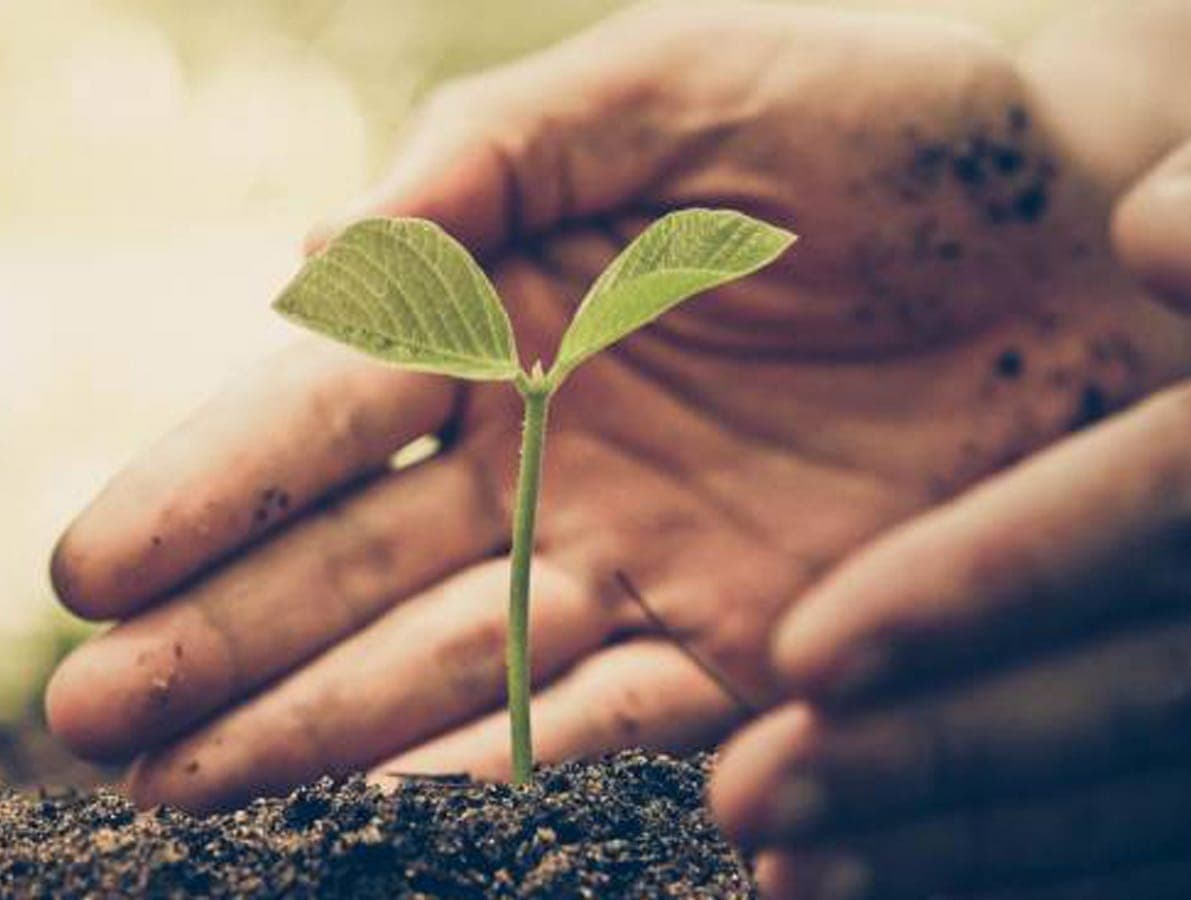 Abimóvel incentiva sustentabilidade