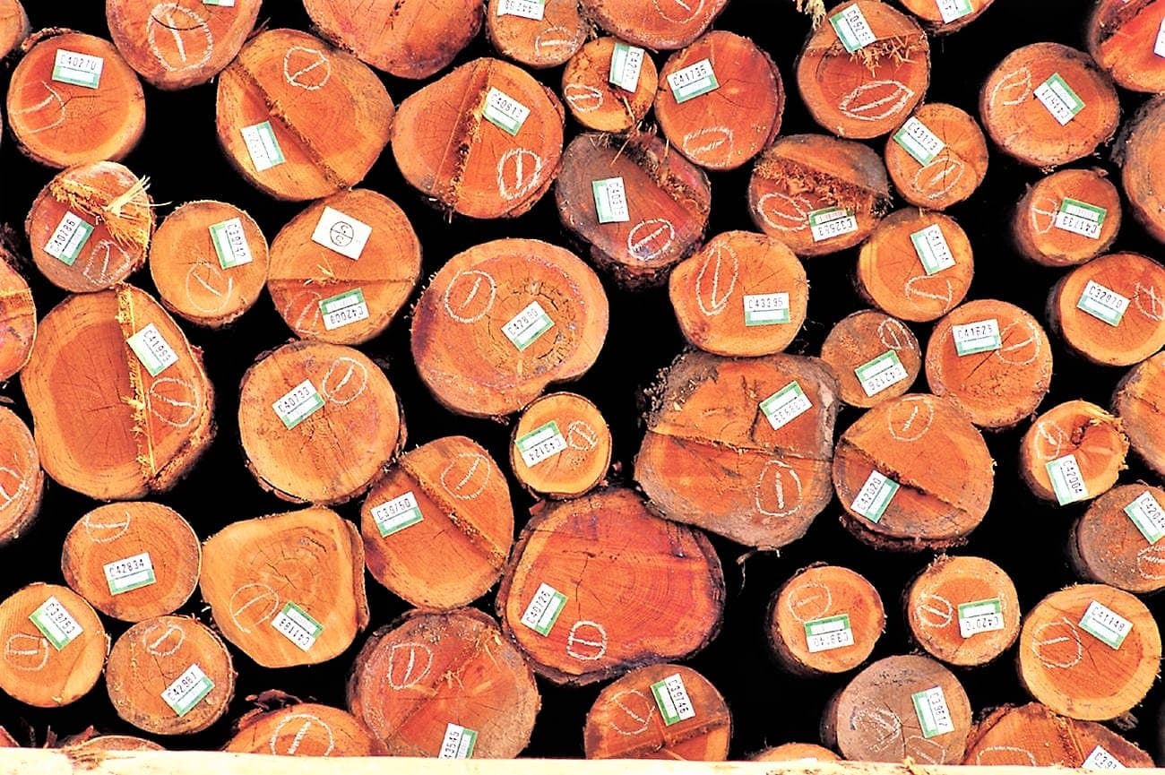 Poder público só poderá comprar móveis de madeira certificada