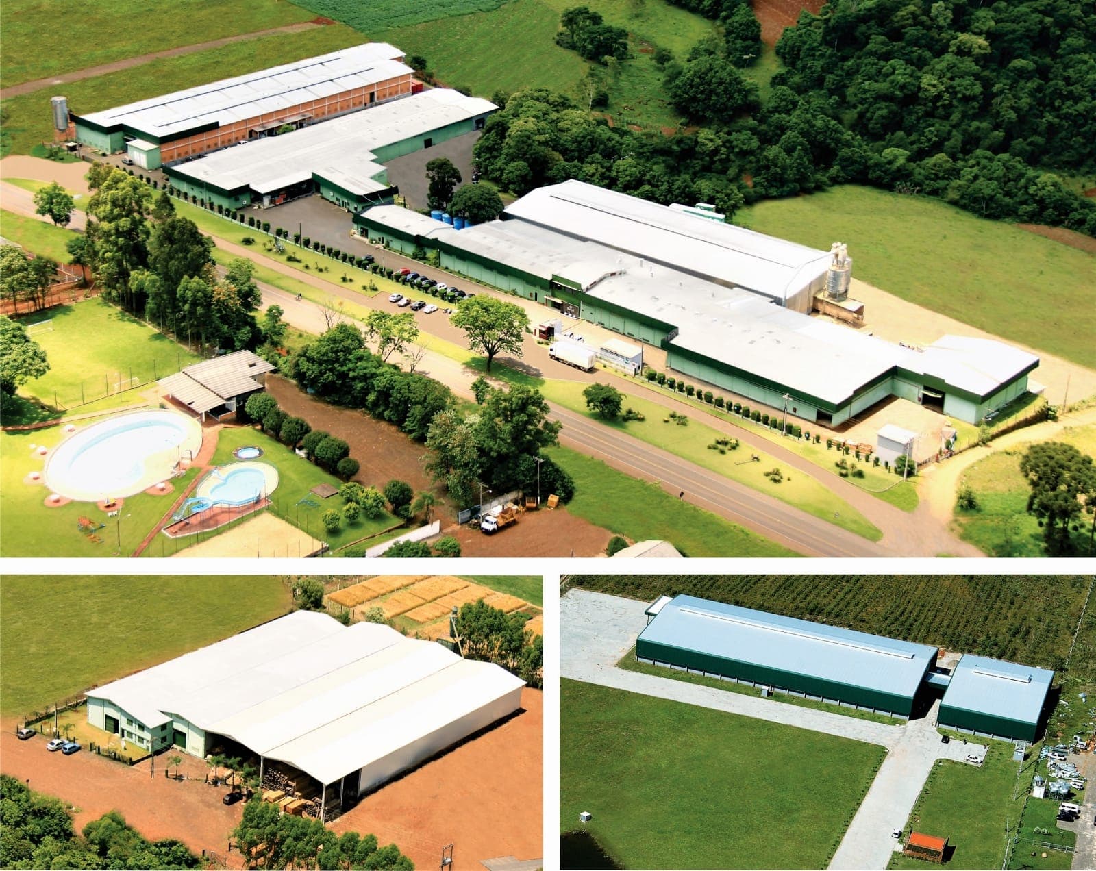 Visão empreendedora é o segredo de sucesso da Serpil