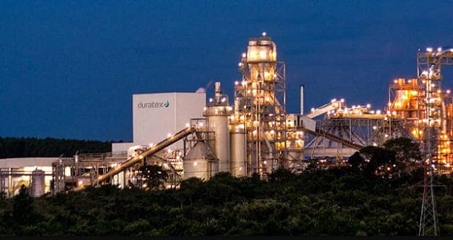 Lucro líquido da Duratex salta 347% no 3º trimestre deste ano