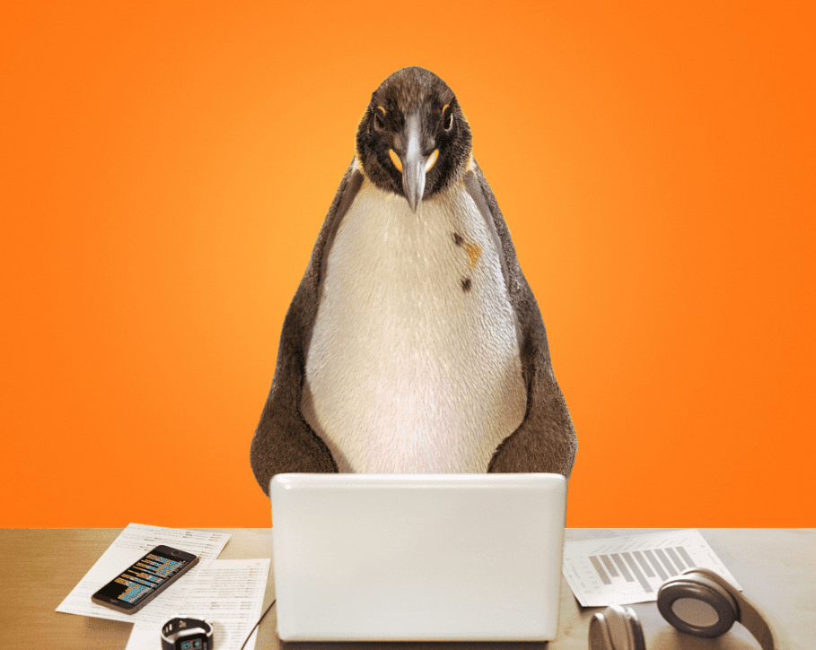 Via amplia de novo o prazo de comissão zero no marketplace