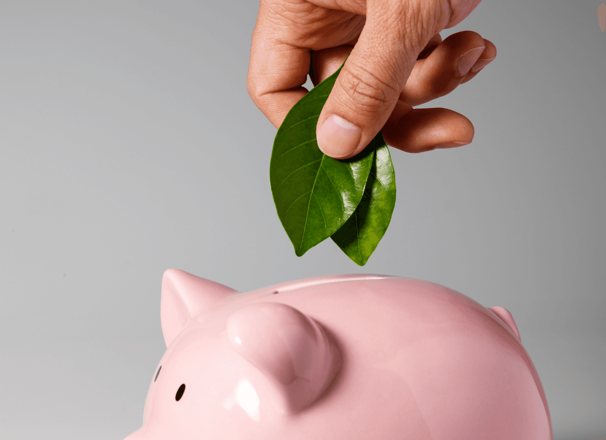 Investir em fundos florestais é um bom negócio para o setor