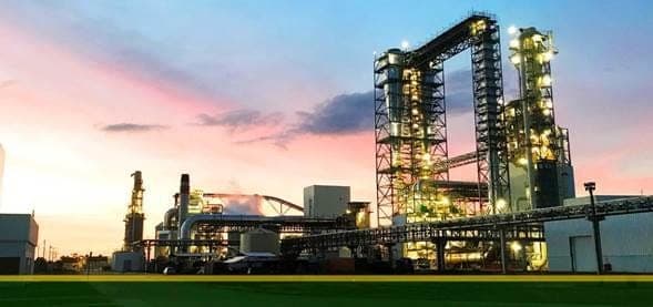 Placas do Brasil bate a marca de 1 milhão m³ de MDF produzidos