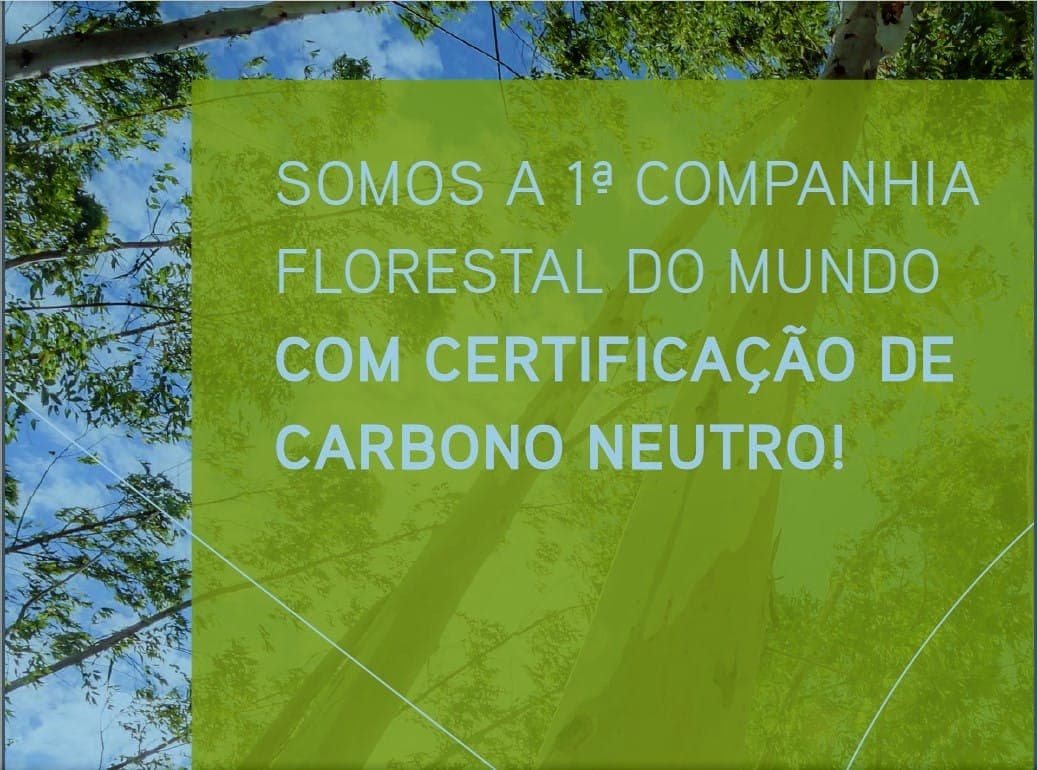 Arauco é única empresa de painéis no país com certificação CARB2