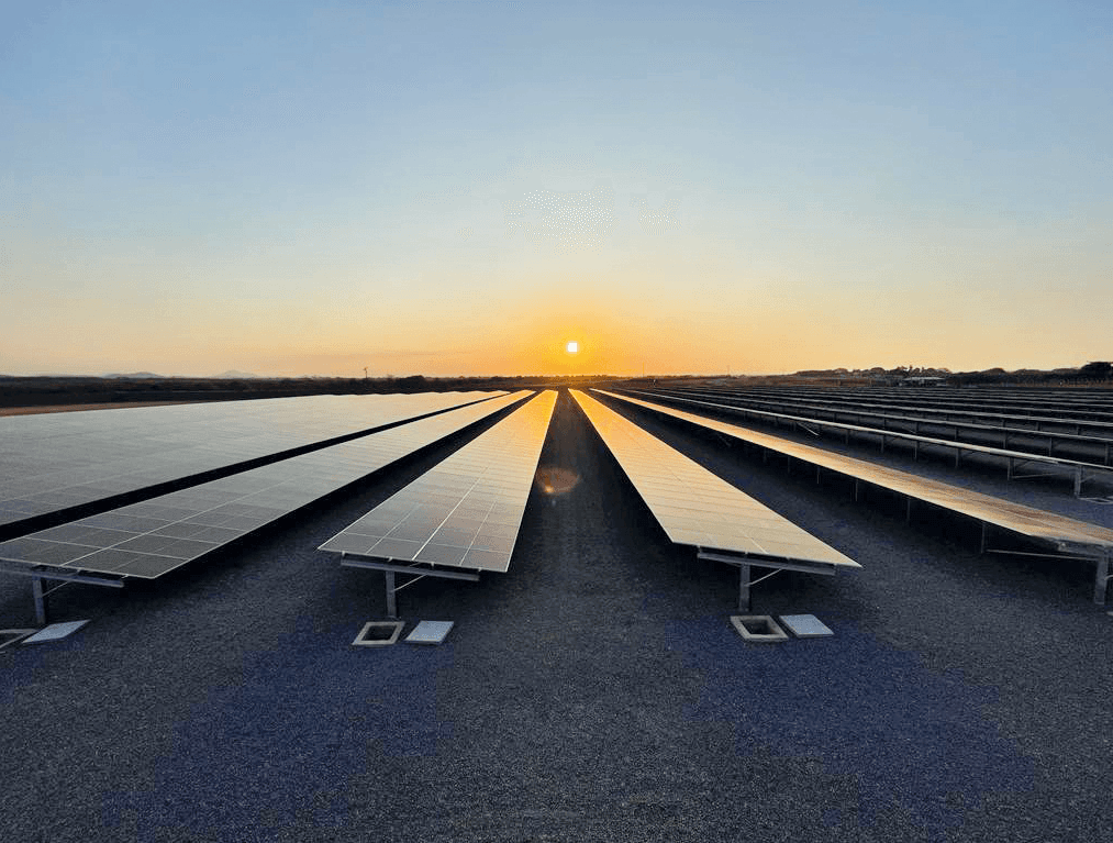 Zenir aposta em energia solar para abastecer rede de lojas