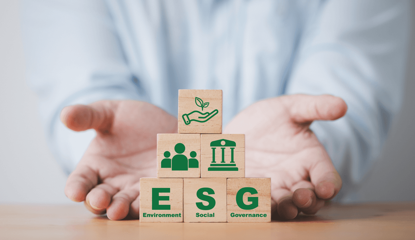 Veja como setor colchoeiro está investindo em ações ESG