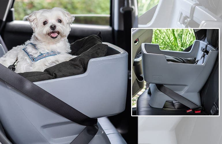 Charlie Pet lança cadeira automotiva para pet curtir a paisagem