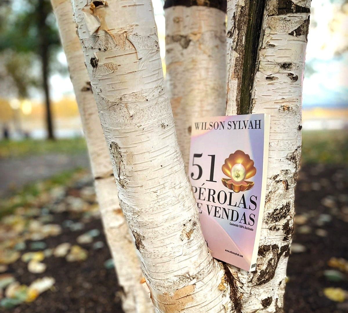 51 Pérolas de Vendas