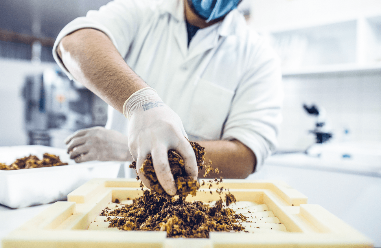 Micélio é alternativa para diversos produtos, inclusive móveis