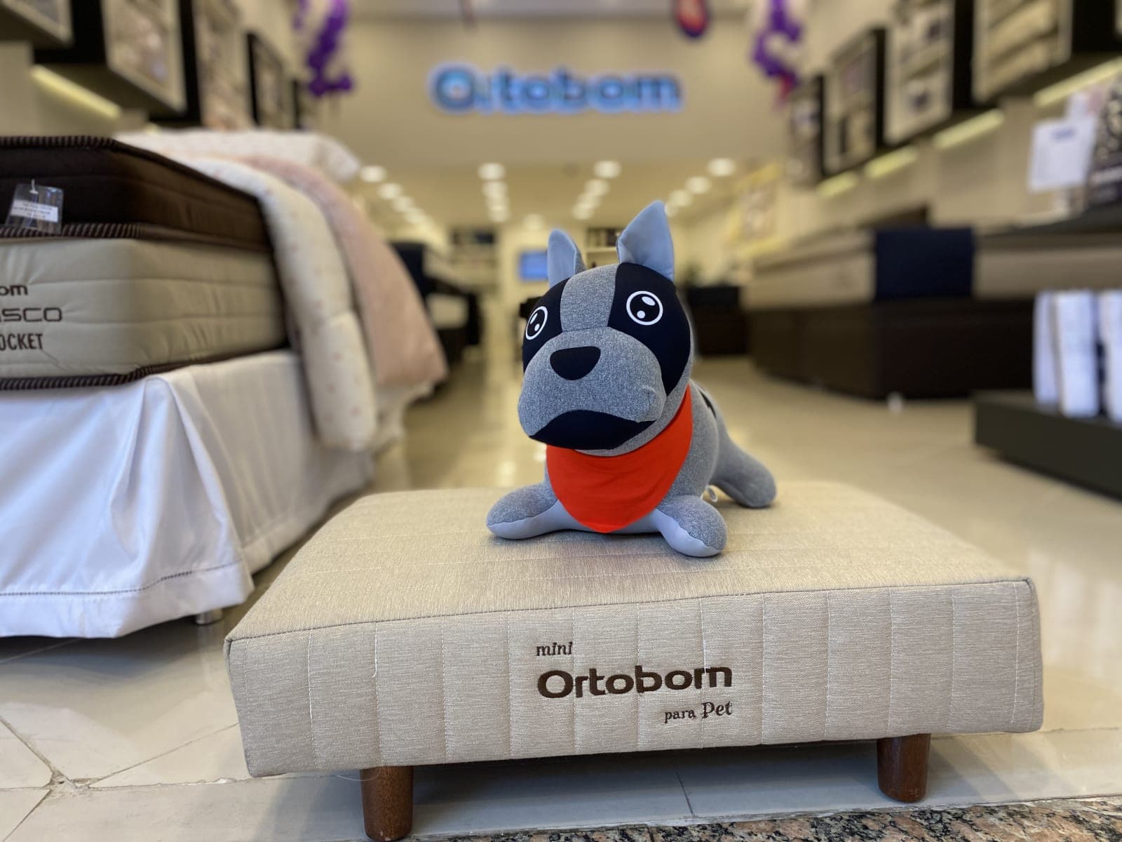 Collab para sono tranquilo: FOM e Ortobom divulgam produtos