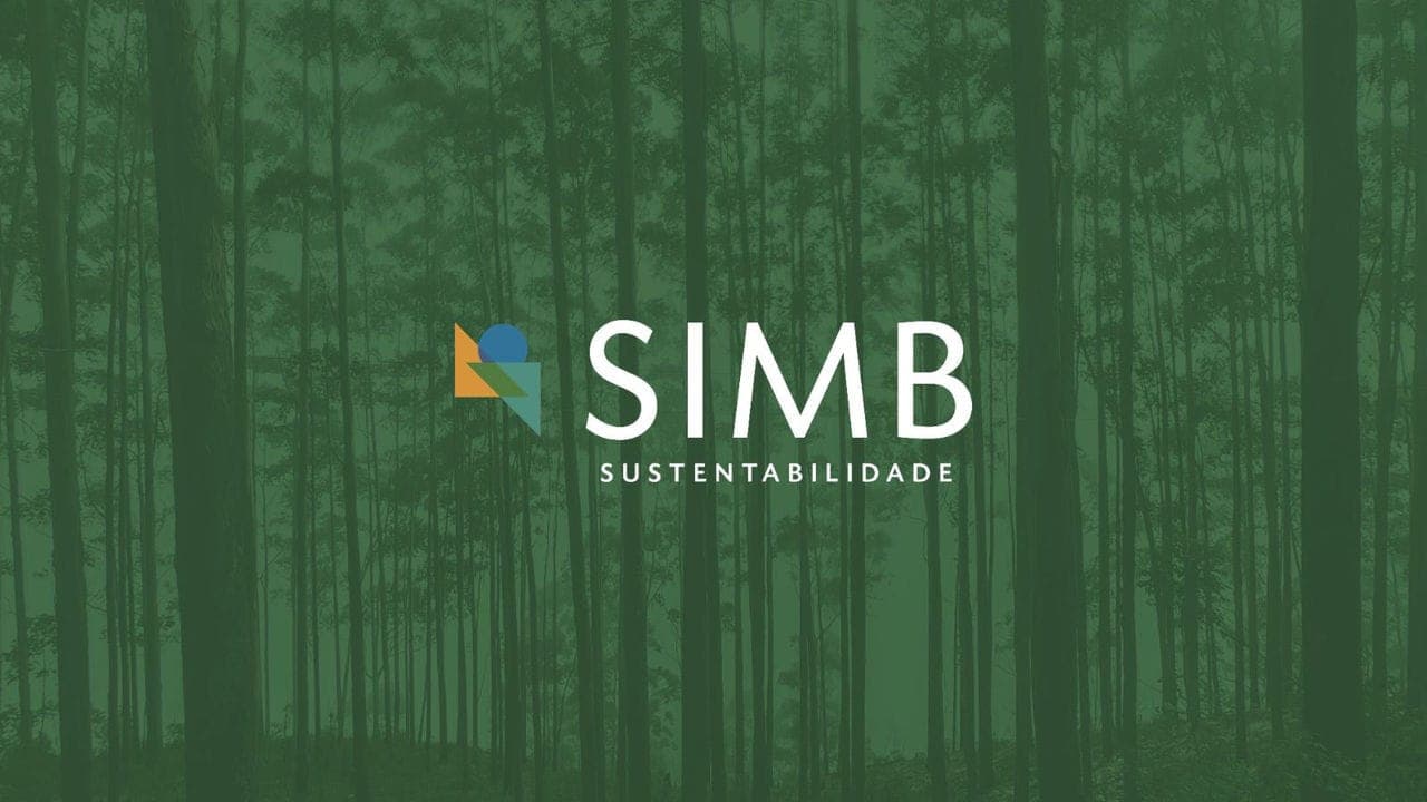 Brazilian Furniture lança Ciclo do Programa de Sustentabilidade