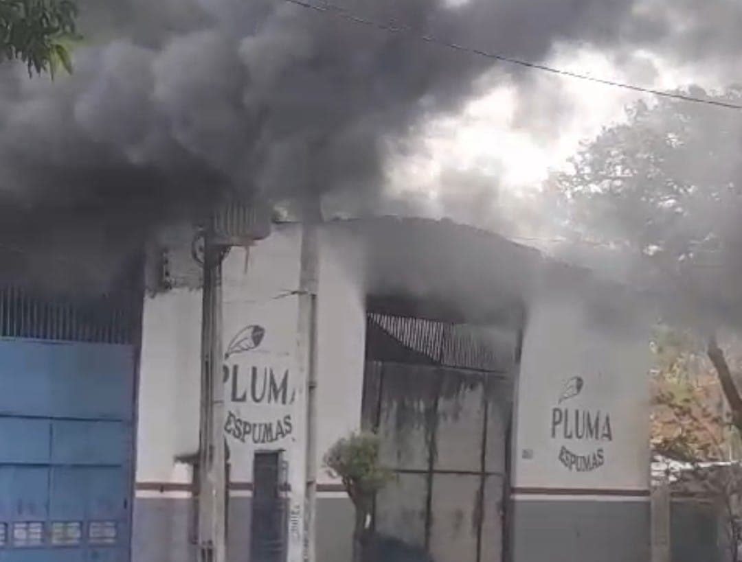 Foto: Mário Platão