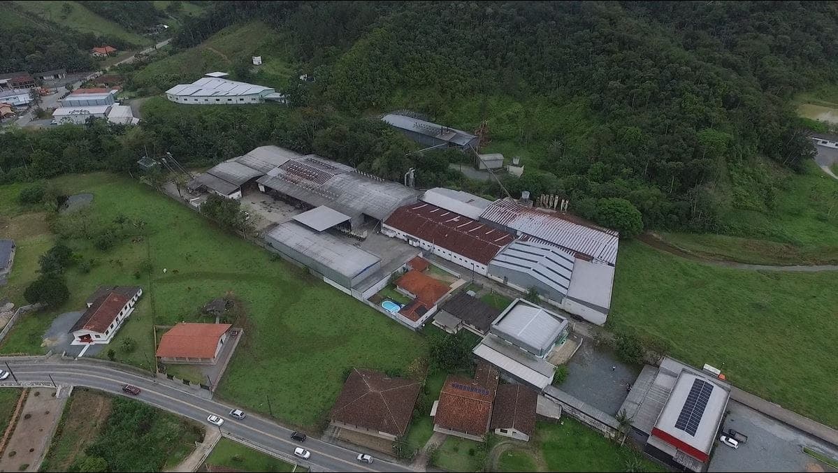 2º leilão da Schmitz arrecada R$ 938 mil; último será em março