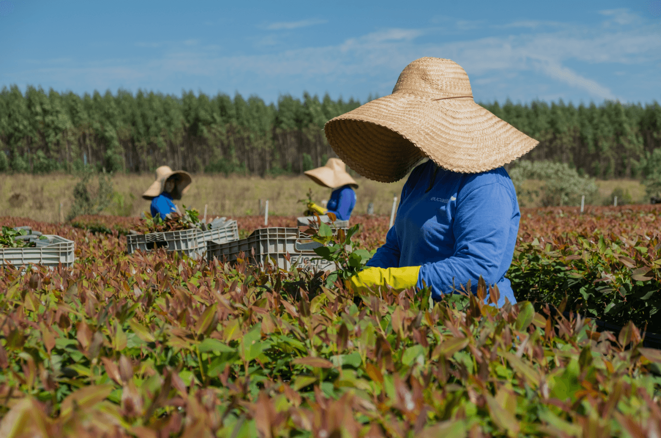 Práticas sustentáveis na Indústria garantem premiação à Eucatex