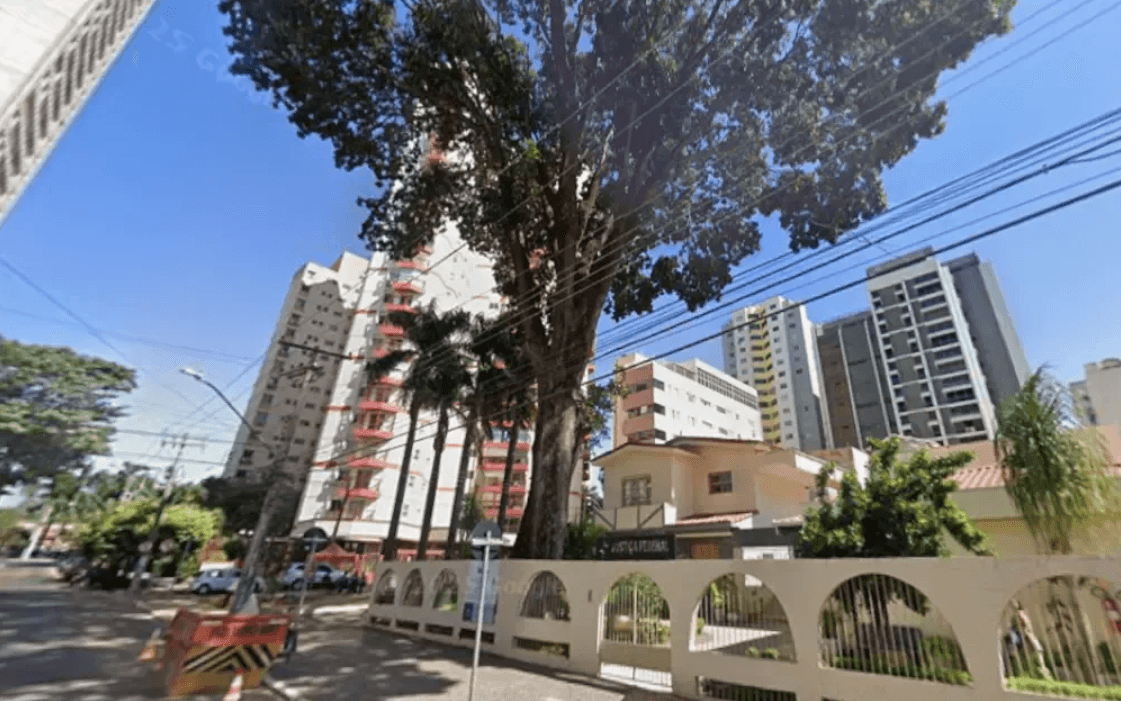 Mogno de 70 anos mobiliza disputa pelo destino da madeira