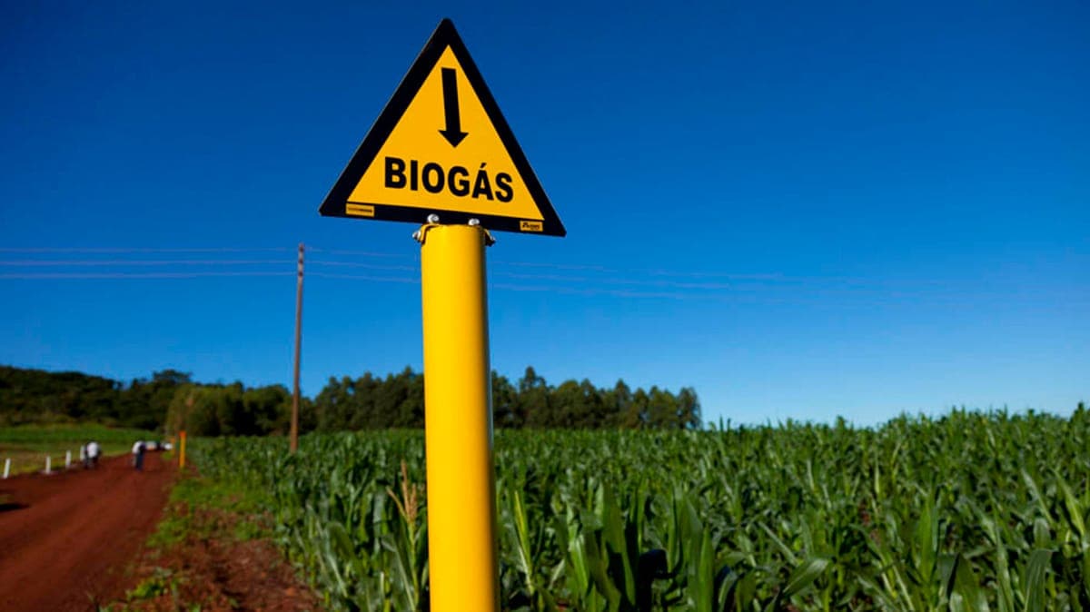 Biometano é uma alternativa para moveleiras