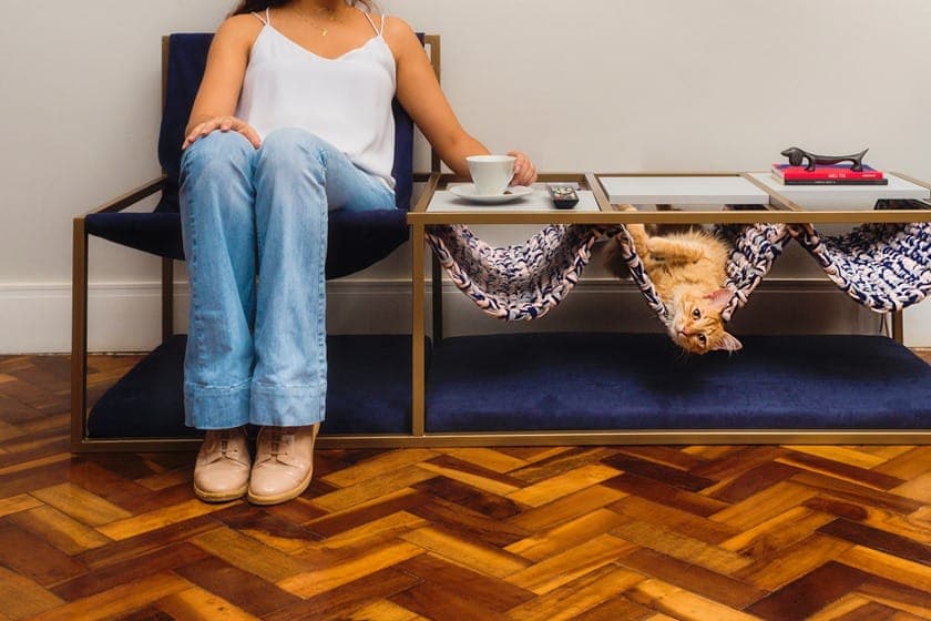 Móveis criados no DF destinados aos pets