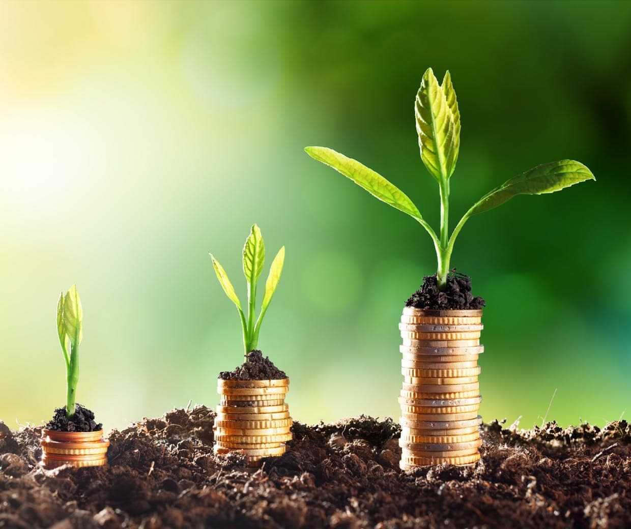 Consumidores preferem empresas sustentáveis