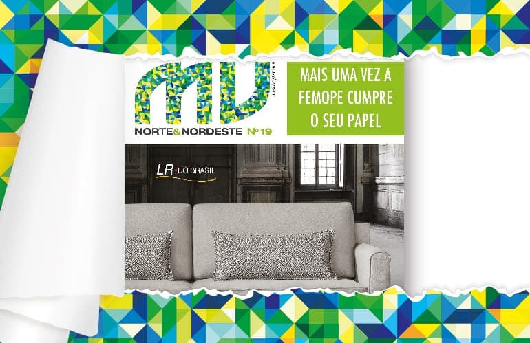 Leia agora a décima nona edição da Norte & Nordeste