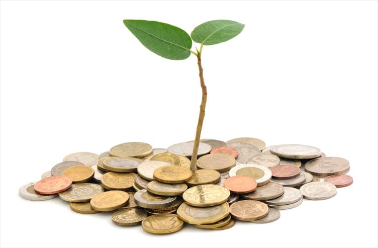 Compra de móvel dá investimento florestal como “cashback”