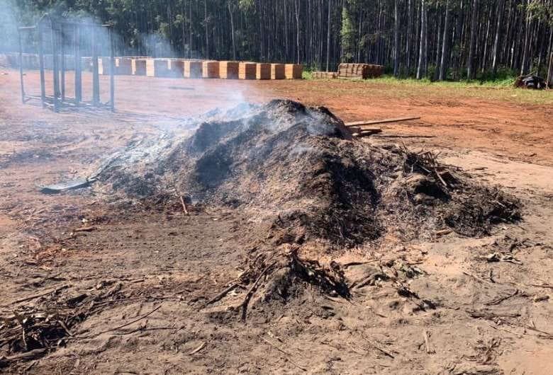 Fábrica de móveis é autuada por queima de resíduos