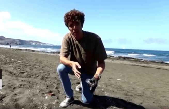 Você produziria móveis com lixo retirado da praia?