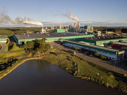 Berneck cogera 60% de toda energia utilizada em suas fábricas
