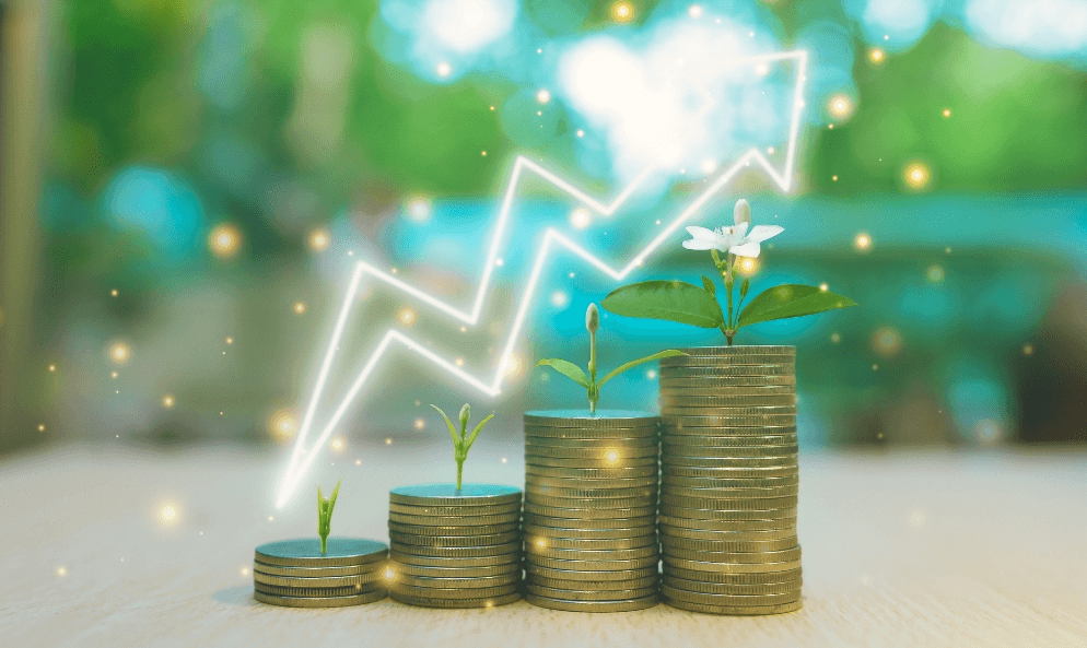 Banco de Imagens | Canva