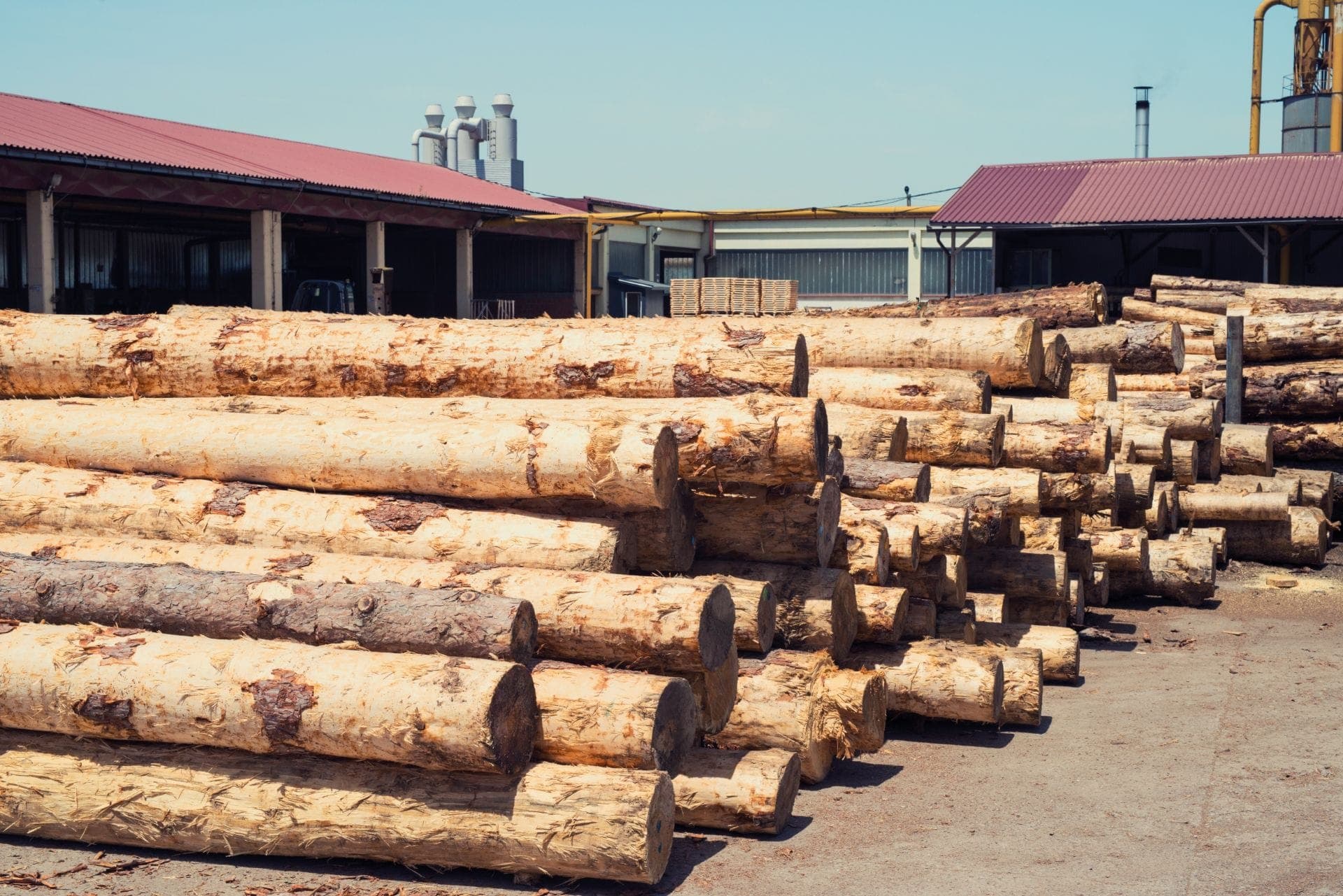 Floresta plantada sustenta 94% da madeira industrial utilizada no País