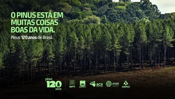 Campanha institucional apresenta a importância econômica, ambiental e social do Pinus (Crédito: Divulgação)