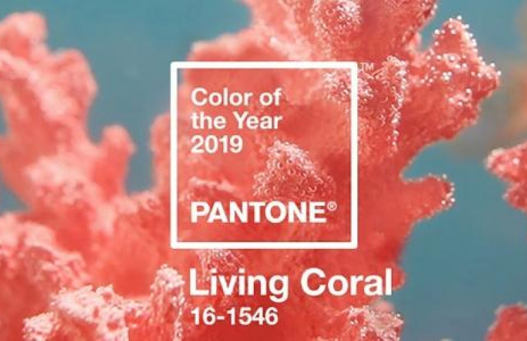 living-coral.jpg