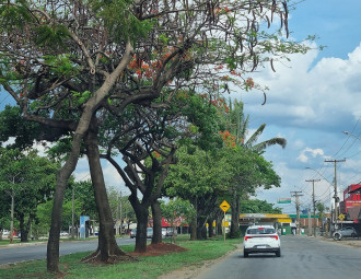Avenida_Vera_Cruz_Jardim_Guanabara_Goiania_outubro_de_2023_6.jpg