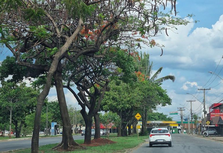 Avenida_Vera_Cruz_Jardim_Guanabara_Goiania_outubro_de_2023_6.jpg